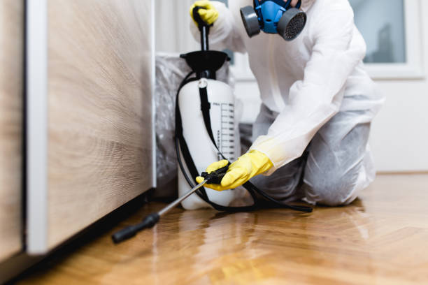 Best Best Pest Control Companies  in Amityville, NY