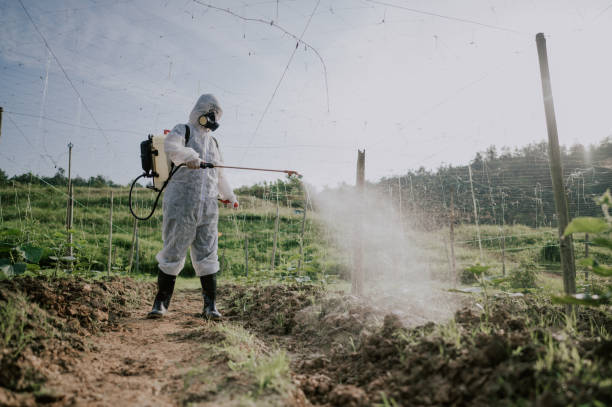 Best Commercial Pest Control Services  in Amityville, NY