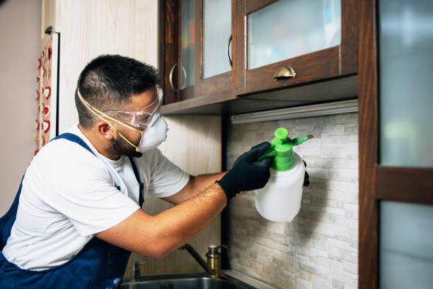 Best Residential Pest Control  in Amityville, NY