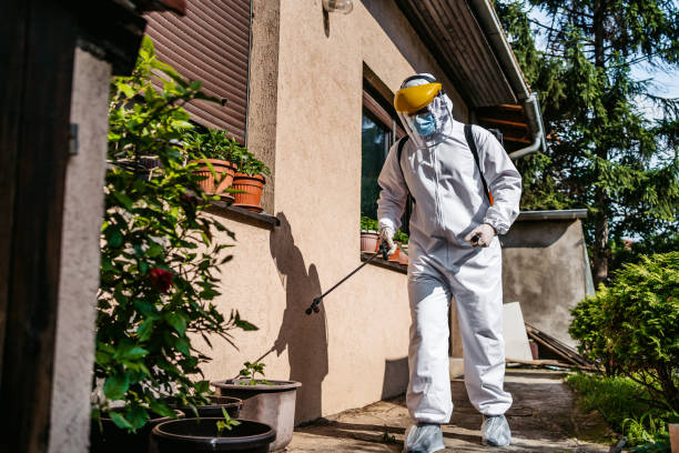 Best Best Pest Control Companies  in Amityville, NY