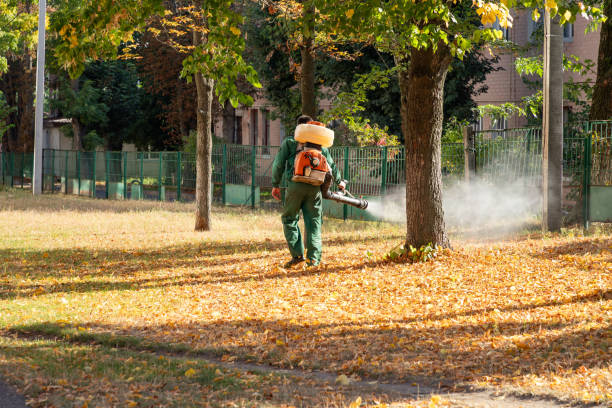 Best Pest Removal Services  in Amityville, NY