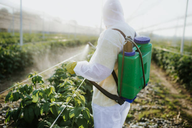 Best Exterminator Services  in Amityville, NY